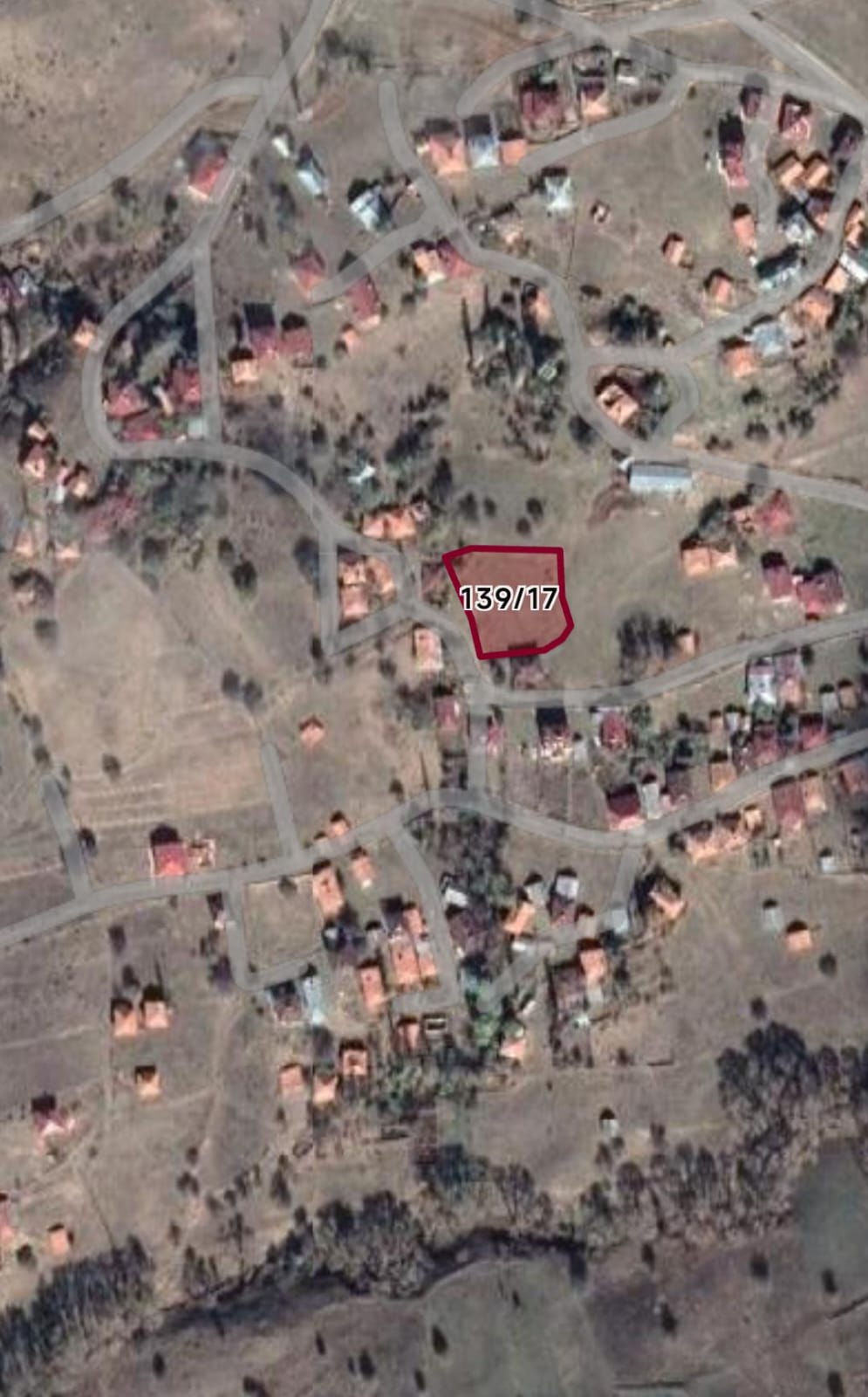 Fotoğraf